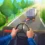 Vehicle Masters